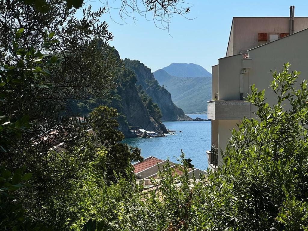 Vista Petrovac Lejlighed Eksteriør billede